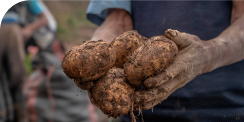 agroexportacion–min